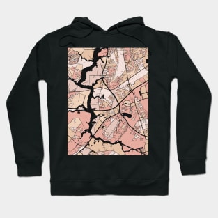 Chesapeake Map Pattern in Soft Pink Pastels Hoodie